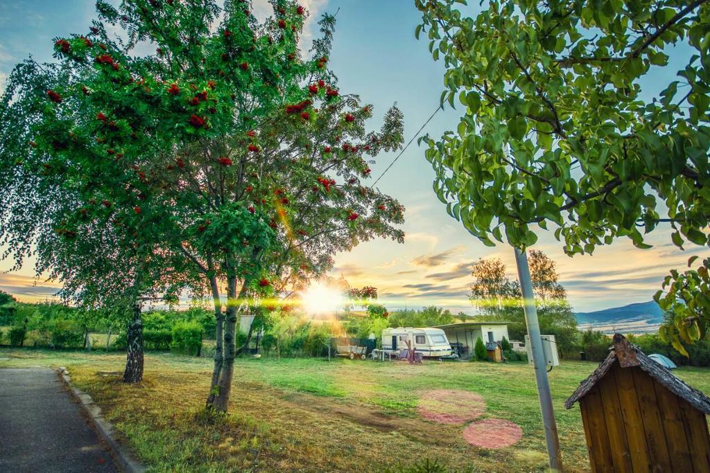 Camping Verila Hotel Sapareva Banya Ngoại thất bức ảnh